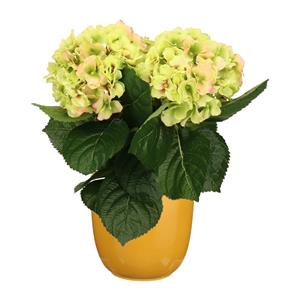 Merkloos Hortensia kunstplant/kunstbloemen cm - groen/roze - in pot okergeel glans -
