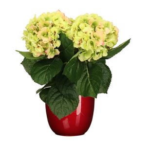 Merkloos Hortensia kunstplant/kunstbloemen cm - groen/roze - in pot rood glans -