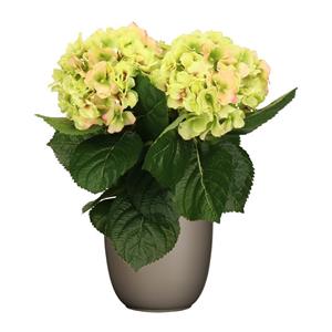 Merkloos Hortensia kunstplant/kunstbloemen cm - groen/roze - in pot taupe mat -