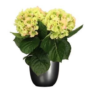 Merkloos Hortensia kunstplant/kunstbloemen cm - groen/roze - in pot titanium grijs glans -