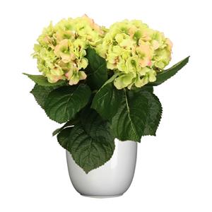 Merkloos Hortensia kunstplant/kunstbloemen cm - groen/roze - in pot wit glans -