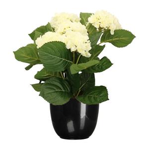 Merkloos Hortensia kunstplant/kunstbloemen cm - wit - in pot zwart glans -