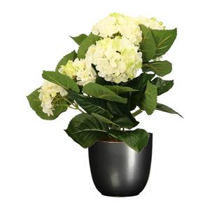 Merkloos Hortensia kunstplant/kunstbloemen cm - wit/groen - in pot titanium grijs glans -