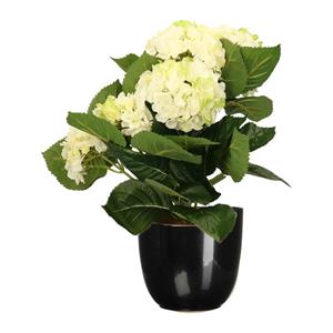 Merkloos Hortensia kunstplant/kunstbloemen cm - wit/groen - in pot zwart glans -
