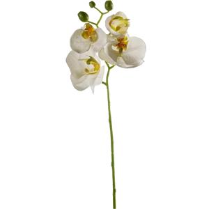 Emerald Kunstbloem Orchidee - 56 cm - wit - losse tak - kunst zijdebloem - Phalaenopsis -