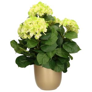 Mica Decorations Hortensia kunstplant/kunstbloemen 45 cm - groen - in pot goud -