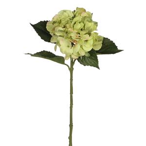 Mica Decorations Kunstbloem - Hortensia tak - groen - 51 cm - losse steel - Kunst zijdebloemen -