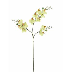 Mica Decorations Kunstbloem Orchidee tak - lichtgeel - 75 cm - Kunst zijdebloemen -