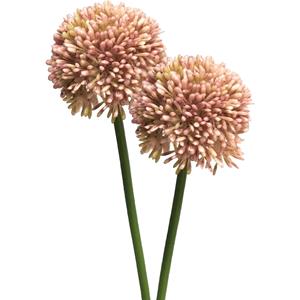 Bellatio Design Allium/Sierui Globemaster kunstbloem - 2x - losse steel - roze - cm - Natuurlijke uitstraling -