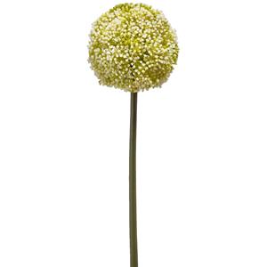 Emerald Allium/Sierui kunstbloem - losse steel - wit/groen - 75 cm - Natuurlijke uitstraling -