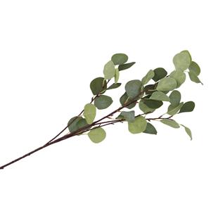 DK Design Kunstbloem Eucalyptus tak Real Touch - 90 cm - groen - losse steel - Kunst zijdebloemen -
