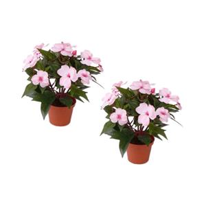Bellatio flowers & plants Bellatio Kunstplant - 4x stuks - Vlijtig Liesje - in pot - kunst zijde plant - 25 cm -