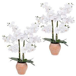 Atmosphera Orchidee bloemen kunstplant in sierlijke terracotta bloempot - 2x - witte bloemen - H65 cm -