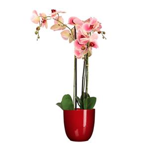 Mica Decorations Orchidee kunstplant roze - 75 cm - inclusief bloempot rood glans -