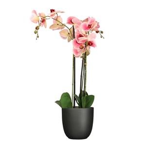 Mica Decorations Orchidee kunstplant roze - 75 cm - inclusief bloempot titanium grijs glans -
