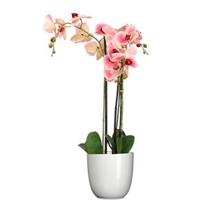 Mica Decorations Orchidee kunstplant roze - 75 cm - inclusief bloempot wit glans -