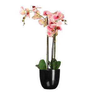 Mica Decorations Orchidee kunstplant roze - 75 cm - inclusief bloempot zwart glans -
