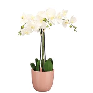 Mica Decorations Orchidee kunstplant wit - 75 cm - inclusief bloempot lichtroze glans -
