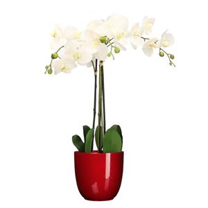 Mica Decorations Orchidee kunstplant wit - 75 cm - inclusief bloempot rood glans -