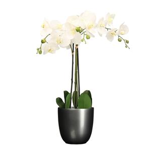 Mica Decorations Orchidee kunstplant wit - 75 cm - inclusief bloempot titanium grijs glans -