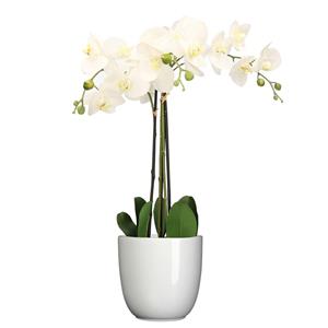 Mica Decorations Orchidee kunstplant wit - 75 cm - inclusief bloempot wit glans -