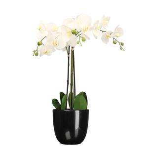 Mica Decorations Orchidee kunstplant wit - 75 cm - inclusief bloempot zwart glans -