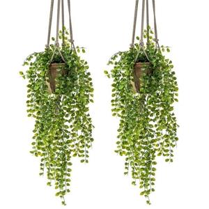 Bellatio flowers & plants 2x Kunstplanten hangplant Ficus in pot met touwen 16 cm -