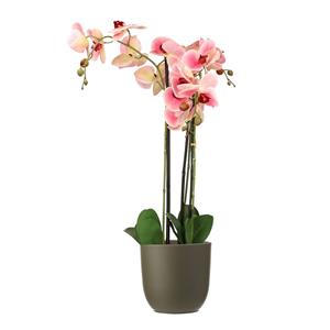 Mica Decorations Orchidee kunstplant roze - 75 cm - inclusief bloempot olijfgroen mat -