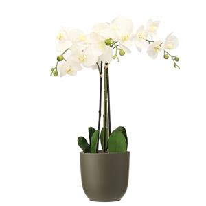 Mica Decorations Orchidee kunstplant wit - 75 cm - inclusief bloempot olijfgroen mat -