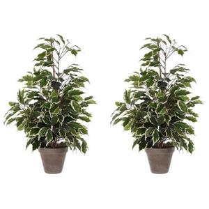 Merkloos Kunstplant Ficus - 2x - groen/wit - 65 cm - binnen - kunstplanten/nepplanten/binnenplanten -
