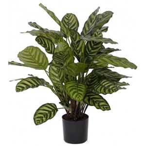 Bellatio flowers & plants Kunstplant Calathea Makoyana - voor binnen - kunst kamerplant - 67 cm -