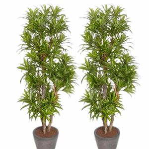 Bellatio flowers & plants 2x Groene Dracaena reflexa kunstplanten 120 cm voor binnen -