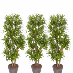 Bellatio flowers & plants 3x Groene Dracaena reflexa kunstplanten 120 cm voor binnen -