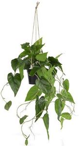 Philodendron Scandens 80cm kunstplant