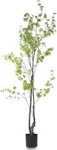 Tropaeolum kunstplant - H210cm