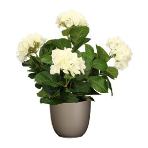Mica Decorations Hortensia kunstplant/kunstbloemen 45 cm - wit - in pot taupe mat -