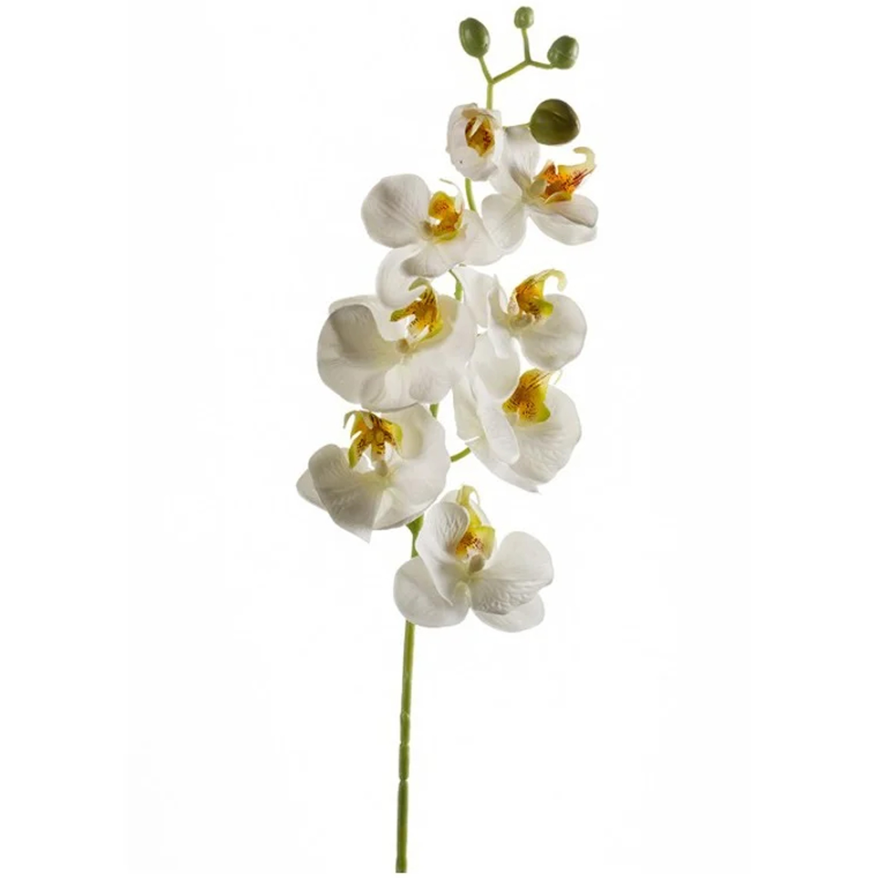 Emerald Kunstbloem Orchidee - 68 cm - wit - losse tak - kunst zijdebloem - Phalaenopsis -