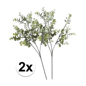 Bellatio flowers & plants Kunstbloem/kunsttak Eucalyptus Cinera - 2x - 65 cm - losse steel - kunst zijdebloemen -