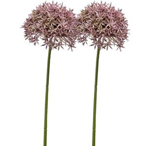 Emerald Allium/Sierui kunstbloem - 2x - losse steel - lila - 62 cm - Natuurlijke uitstraling -