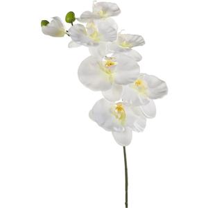 Emerald Kunstbloem Orchidee - 80 cm - wit - losse tak - kunst zijdebloem - Phalaenopsis -