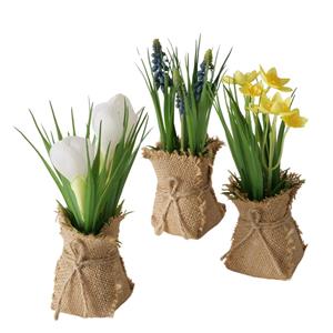 Boltze Home Potplant Harmony H19cm In Jute Pot