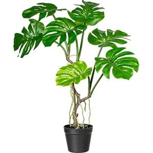 Splitphilodendron, hoogte ca. 750 mm, in een kunststof pot met aarde