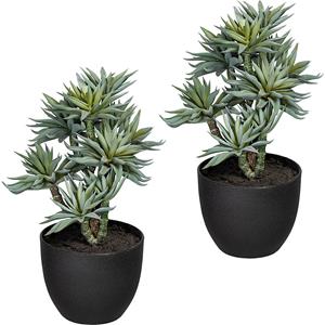 Vetplanten op stam, VE = 2 stuks, hoogte 300 mm, groen-grijs, kunststof pot