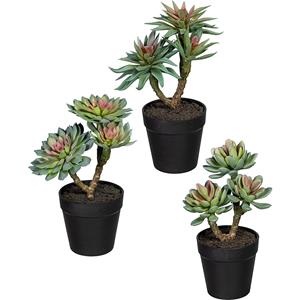 Vetplanten op stam, VE = 3 stuks, hoogte 220 - 240 mm, groen-roze, kunststof pot