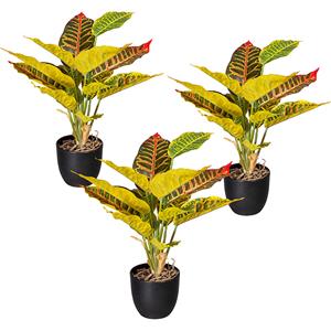 Croton groen-geel, VE = 3 stuks, hoogte 350 mm, in een kunststof pot