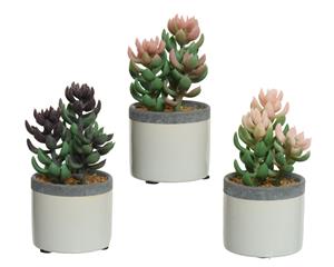 Decoris De  Kunstplant Vetplant In Een Pot Van Keramiek Is Een Prachtig Stuk Voor
