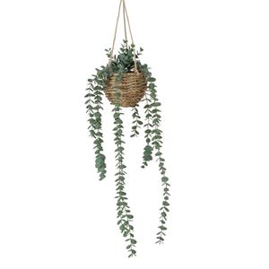 Boltze Home Hangplant In Pot Eucalyptus H78cm