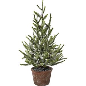 Spar in een pot, besneeuwd, hoogte 55 cm