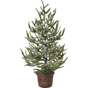 Spar in een pot, besneeuwd, hoogte 65 cm