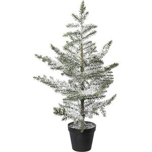 Kamerspar in pot, besneeuwd, kunststof pot, hoogte 64 cm